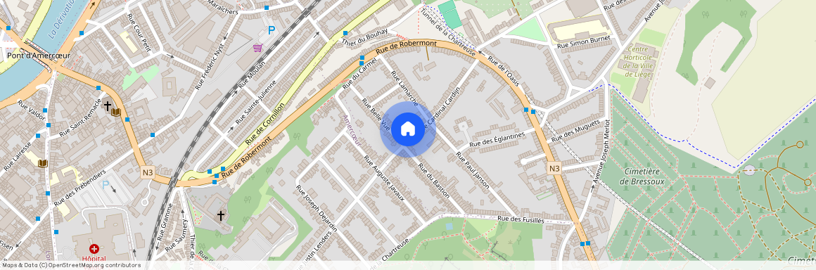 Rue Cardinal Cardijn, 60, 32, 4020, Liège