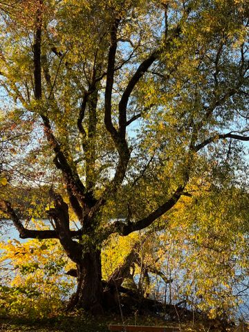 Lillsjönäsvägen, Bromma - Photo 5