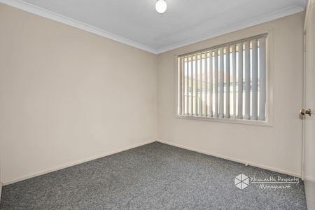 3/2 Teramby Road, Hamilton - Photo 4