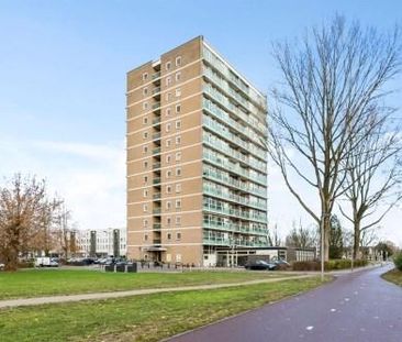Klaverlaan 0ong, 6841 Arnhem, Nederland - Foto 1