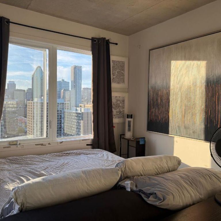 Looking for the best city view? This is it. 4.5 in Griffintown - Photo 1
