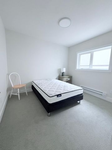 Brand New walkout in Black Mountain - Photo 4