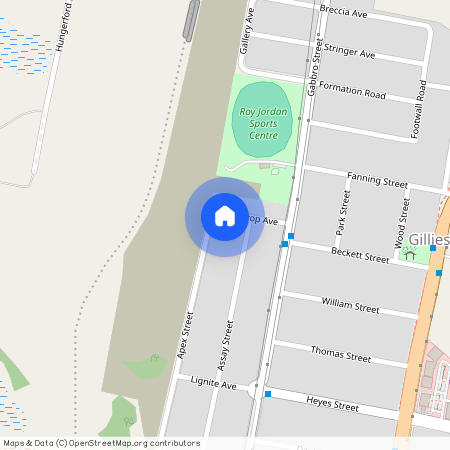 13A Outcrop Avenue, NSW 2321, Gillieston Heights