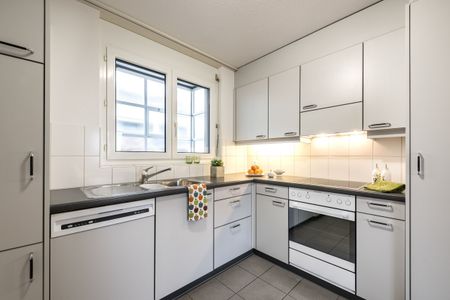 Grosse Dachterrasse mit Alpensicht - Ihr neues zu Hause wartet! - Photo 3