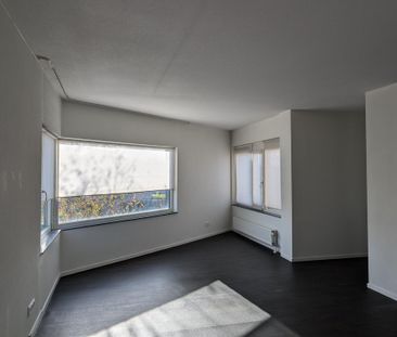 Grastapijt - Photo 3