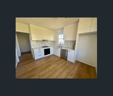 FRESHLY RENOVATED - Photo 4