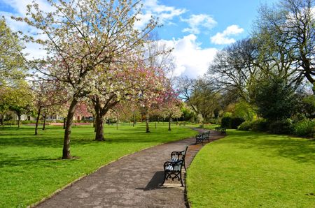 Marlborough Road, Penylan - Photo 4