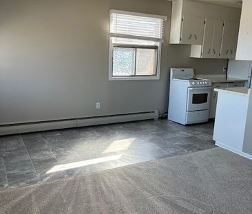 1 BDRM/1 BATH - 601 WILSON CRESCENT - Available MAR 1 - Photo 6