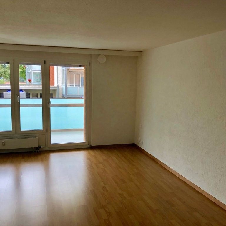 Grosszügiges Studio im Pestalozzipark zu vermieten! - Foto 1