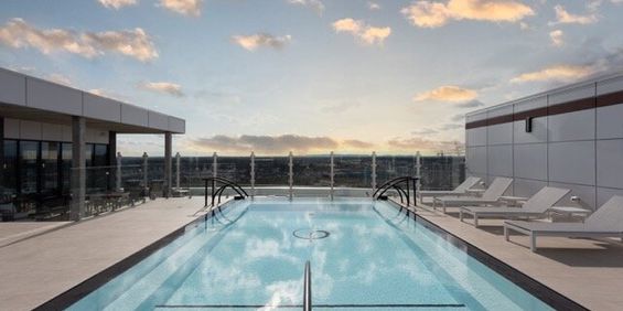 1 Bedroom (Violette) - 3405 Boul Le Carrefour, Laval - Photo 3