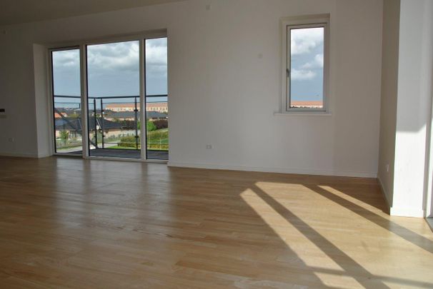 Møgelparken - Photo 1