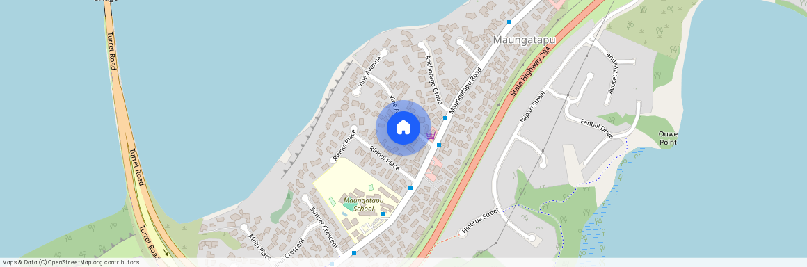 10 Vine Avenue, Maungatapu, Tauranga