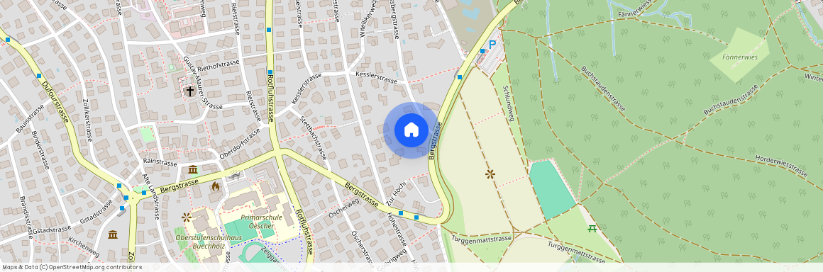 Schlossbergstrasse 42, Schlossbergstrasse 42, Zollikon