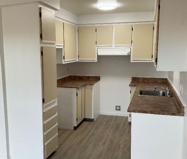 Logement à louer - Photo 2