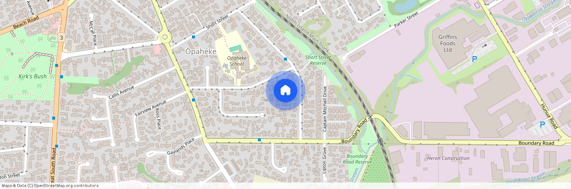 45 Greenhaven Avenue, Opaheke, Papakura