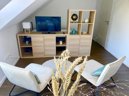 Location Appartement 1 pièce Meublé 26m² NANTES 44000 - Photo 1