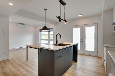 65, rue Michel-Robidoux #101, East-Angus - Photo 5