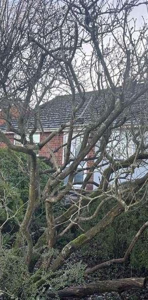 Pereers Close, Holt, NR25 - Photo 2