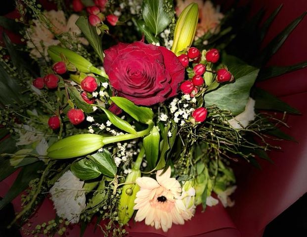 Suche wohnheim - Foto 1