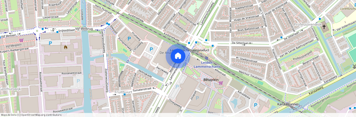 Mangoweg 331, 2321HZ, Leiden