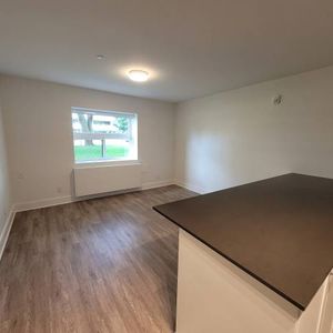 Renovated, Pet-Friendly Units (Parkwoods Village) - Photo 2