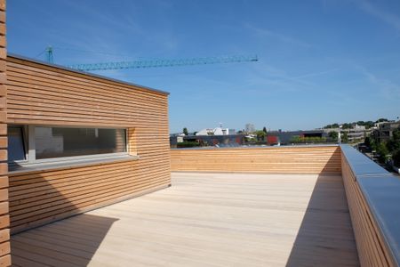 Erstbezug: 4.5-Zimmerwohnung Attikawohnung mit grosser Dachterrasse - Photo 5