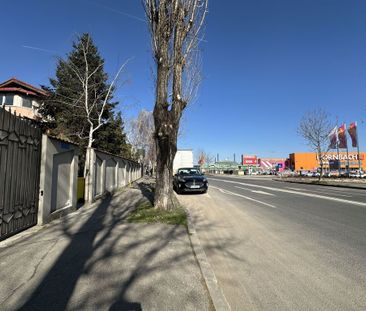 Vila exclusivista de inchiriat Otopeni - Complex Natatie - Photo 5