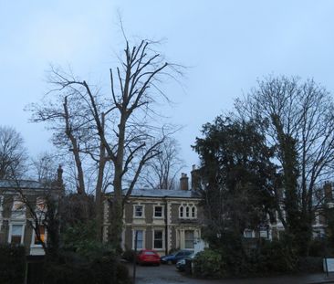 Room in a Shared Flat, Kirkdale, SE26 - Photo 2