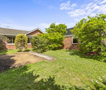 Comfortable Living in a Quiet Glen Iris Street - Photo 3