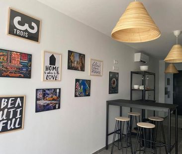 Location Appartement 1 pièce 15m² TALENCE 33400 - Photo 3