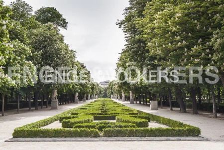 Madrid - Photo 4