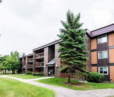 River Park Estates | 449 Paddington Road, Winnipeg - Photo 1