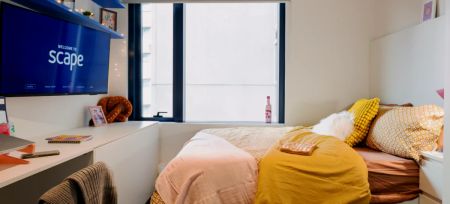 Shared 2 Bed Apartment - Photo 3