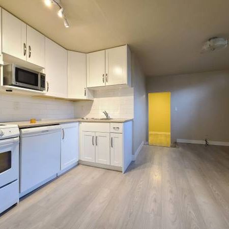 1 bedroom basement apartment unit in Kitsilano Vancouver - Photo 3