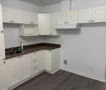 Occasion, beau 41/2, rénové au complet, 750$ - Photo 3