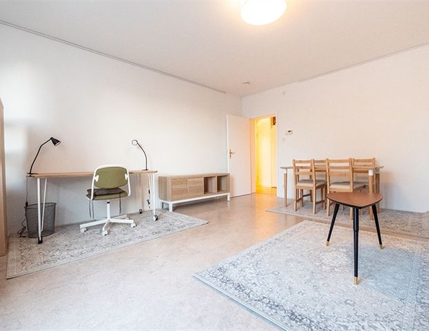 Immobilien - Foto 1