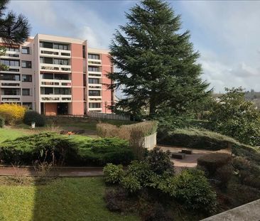 Location Appartement 1 pièce 36m² PALAISEAU 91120 - Photo 6