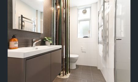 24/27 Ithaca Road, Elizabeth Bay NSW 2011 - Studio For Rent | Domain - Photo 4