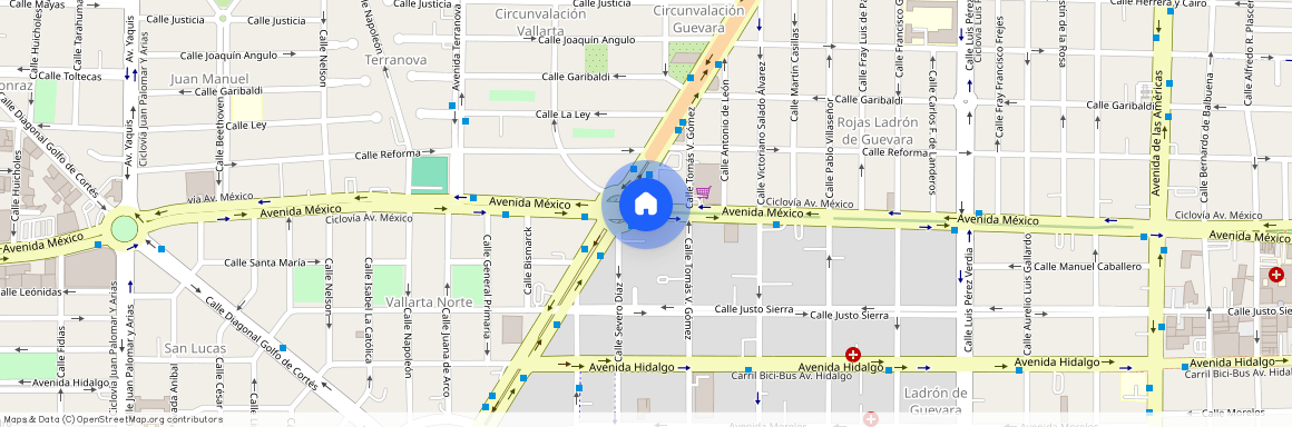 Av. México, Rojas Ladrón de Guevara, Guadalajara, Departamento, Jalisco