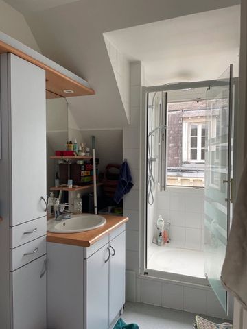 Duplex lumineux avec terrasse et parking à Tours - Photo 5