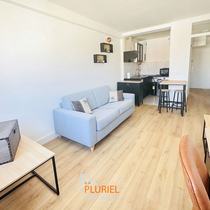 Magnifique Studio meublé 24.15m² Quartier Forêt Noire / Esplanade - Photo 1