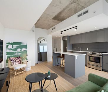 530 Rue Saint-Hubert apartment — Montréal, QC (1-Bedroom) - 1 Bedroom - Photo 4