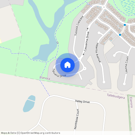 12 TIPUANA DRIVE, Elanora