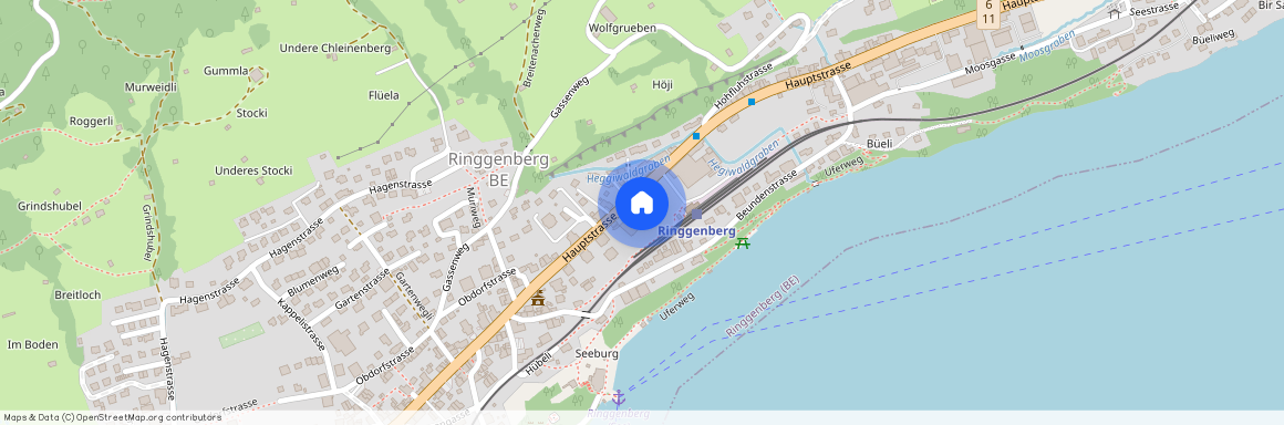 Hauptstrasse 220, 3852 Ringgenberg BE