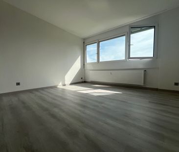 2.5 locali APPENA RISTRUTTURATO a Coldrerio - Foto 6