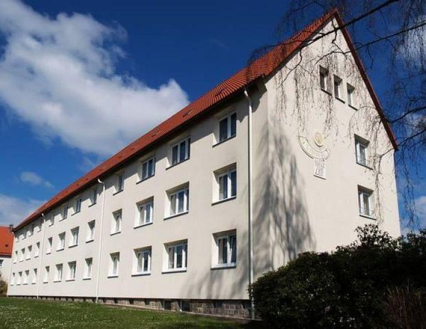 Treuen, R.-Breitscheid-Straße - Photo 1