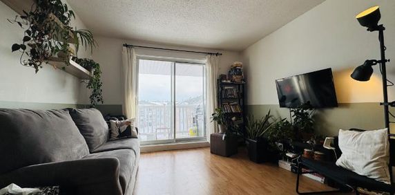 Appartement 3 ½ à louer Sainte-Foy / Sillery juillet 2026 - Photo 2