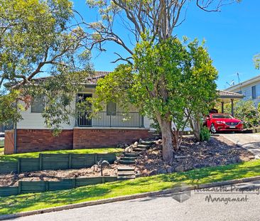 1 Valiant Crescent, Valentine - Photo 3