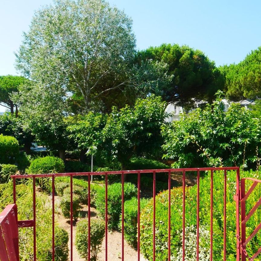 La Grande Motte - T2 - 33m² - Photo 1