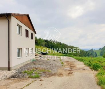 À Delémont moderne studio de 1,5 pièces à louer - Foto 3